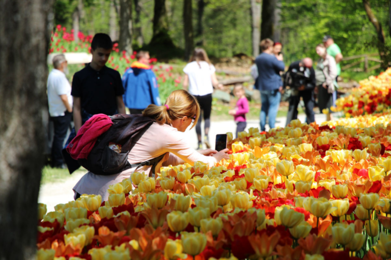 Special Venues: Arboretum Volčji Potok