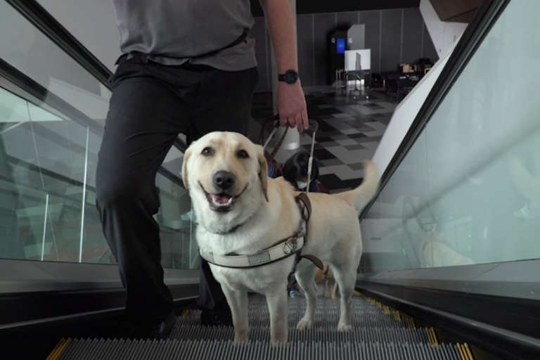 MCEC awarded the Freedom Award by Guide Dogs Victoria