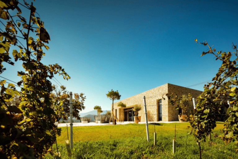 Special Venues: Domäne Lilienberg
