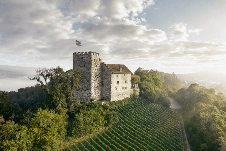 Special Venues: Habsburg Castle