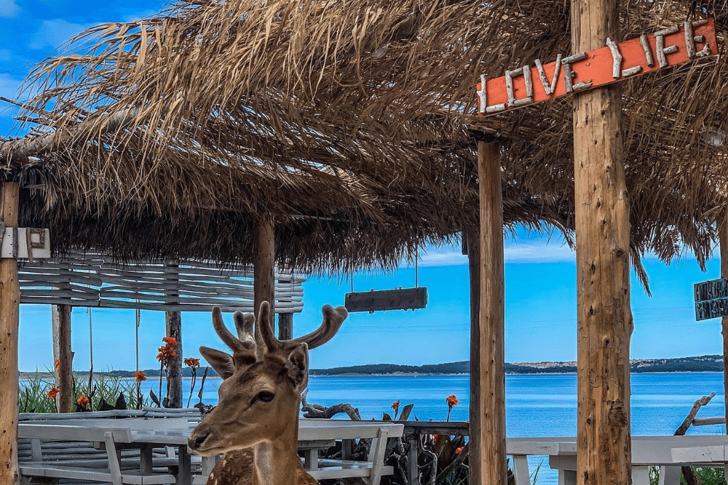 marea_beach_bar