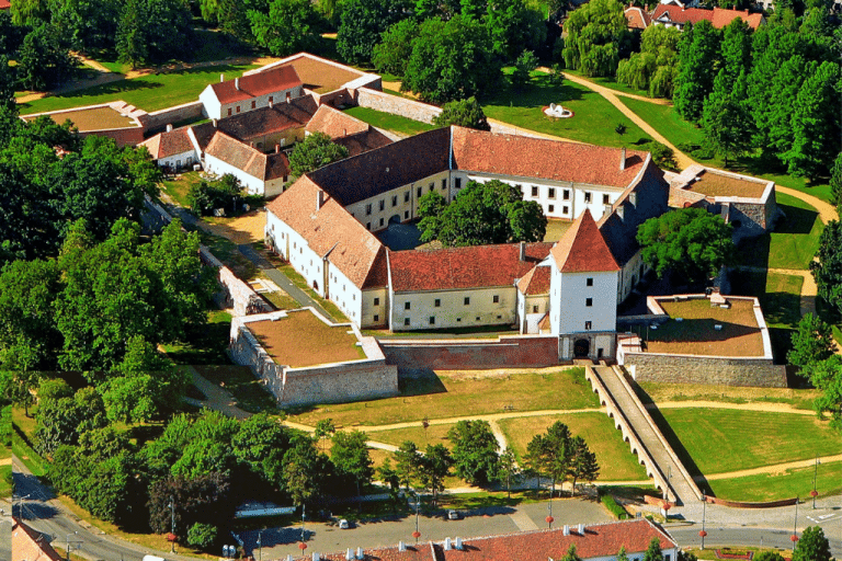 SARVAR – MTLG 2021