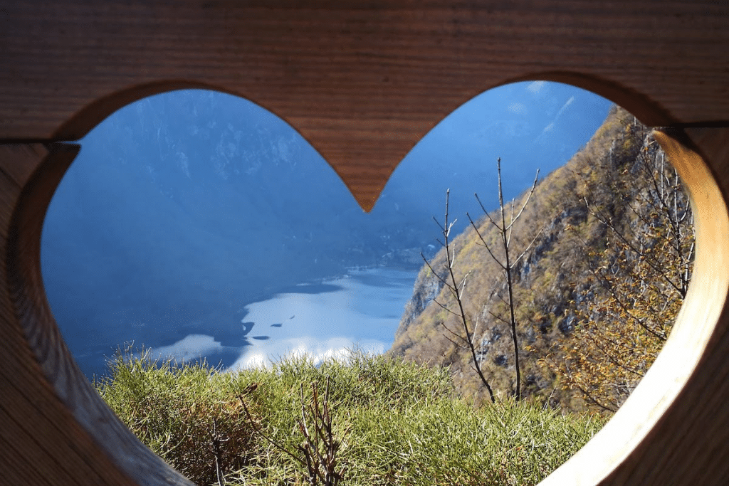 heart_of_the_forest