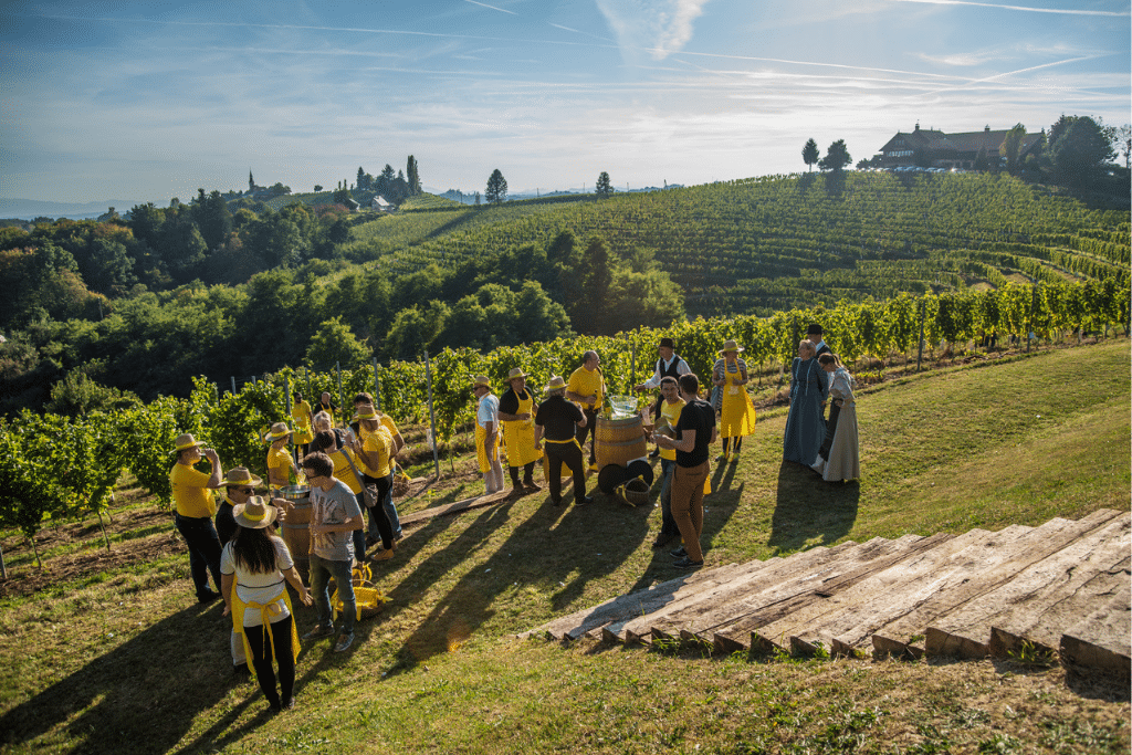 malek_vineyard_cottage