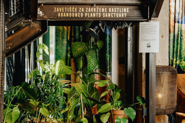 Hotel One66 was awarded the Slovenia Green Label