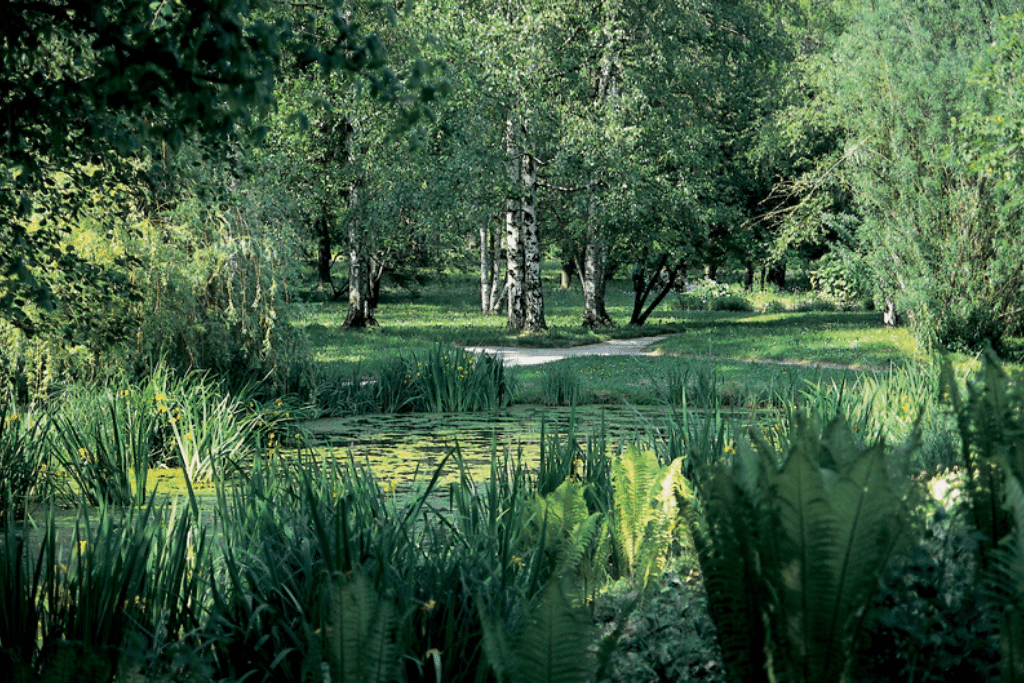botanical_garden