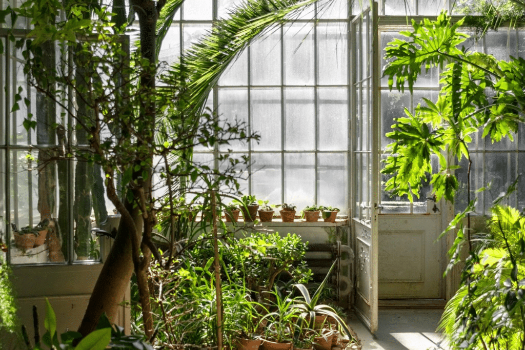 botanical_garden_sezana