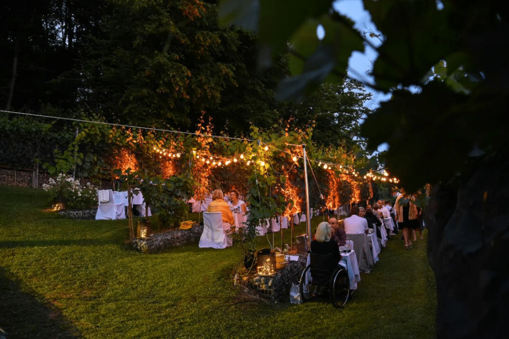 castle_vineyard