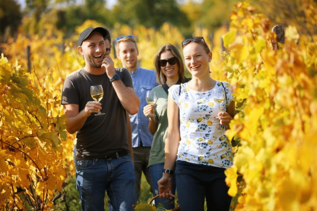 bratislava_wine_route bratislava_wine_route