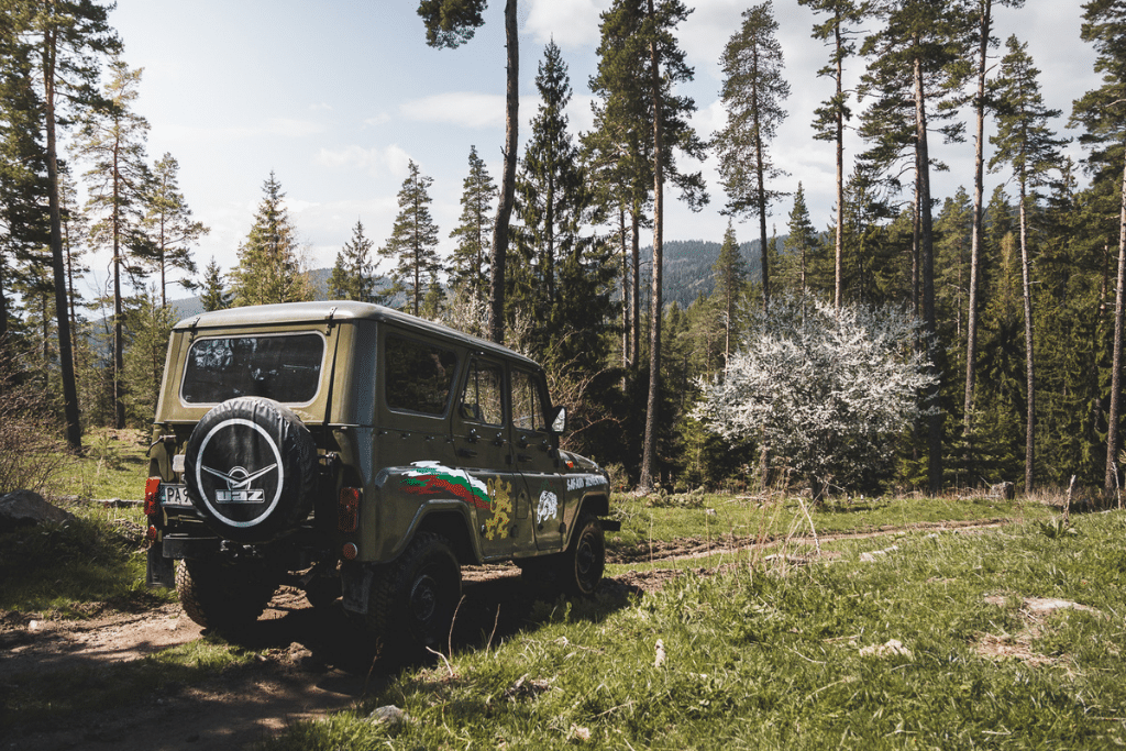 safari_adventure_velingrad
