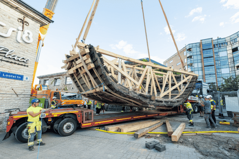 One of the biggest cogs in Europe found in Estonia
