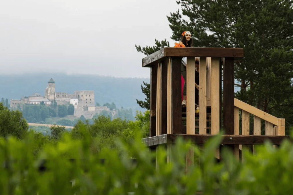 maze_slovakia maze_slovakia