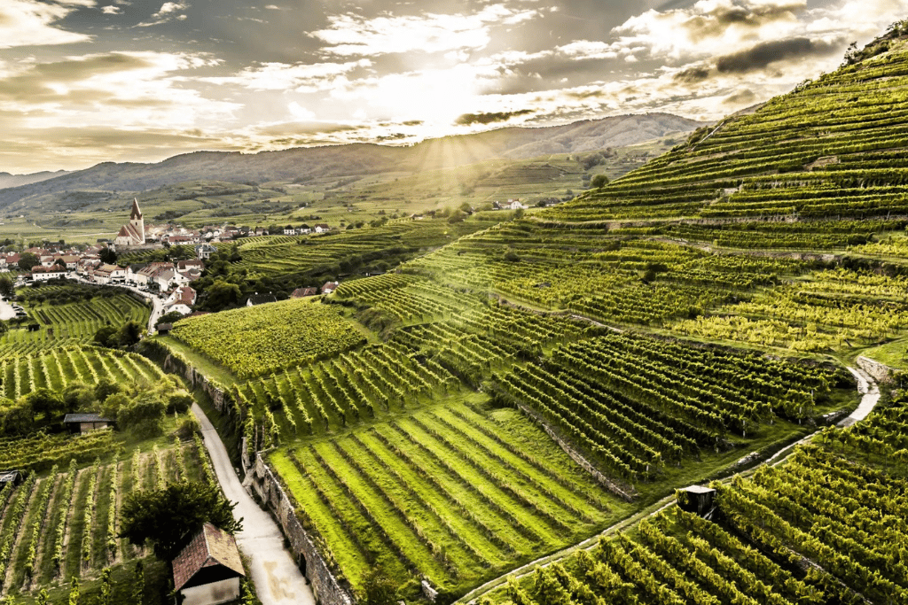 domane_wachau