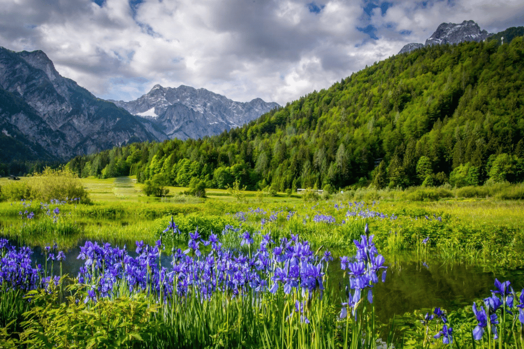 kranjska_gora